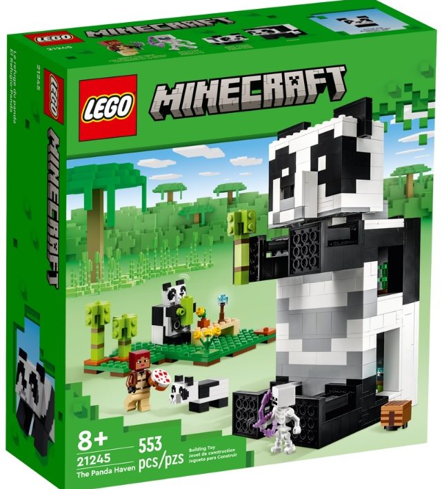 LEGO Minecraft the End Arena (21242) - 2023 EARLY Set Review 